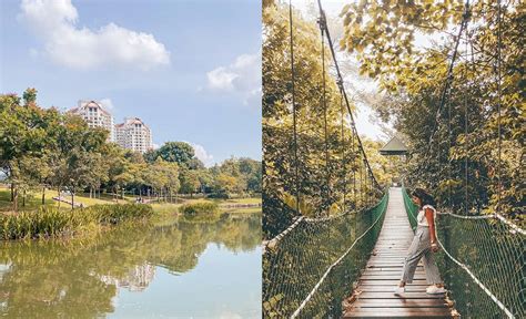 榮城有哪些公園：從多維度探討城市綠肺之美