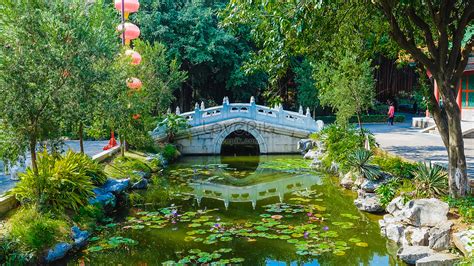 圓明新園多少錢門票