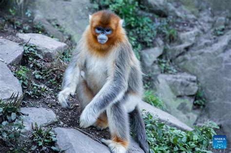 玉合公園的多元風貌探微